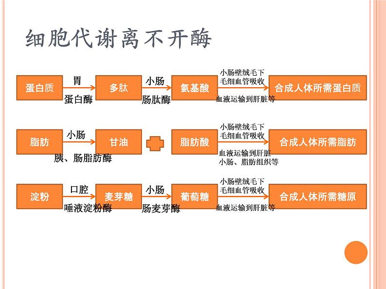 【2019人教版】必修1第5章第1节第1课时 降低化学反应活化能的酶（1） 课件PPT第5页