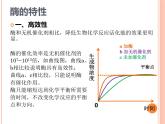 【2019人教版】必修1第5章第1节第2课时 降低化学反应活化能的酶（2） 课件PPT