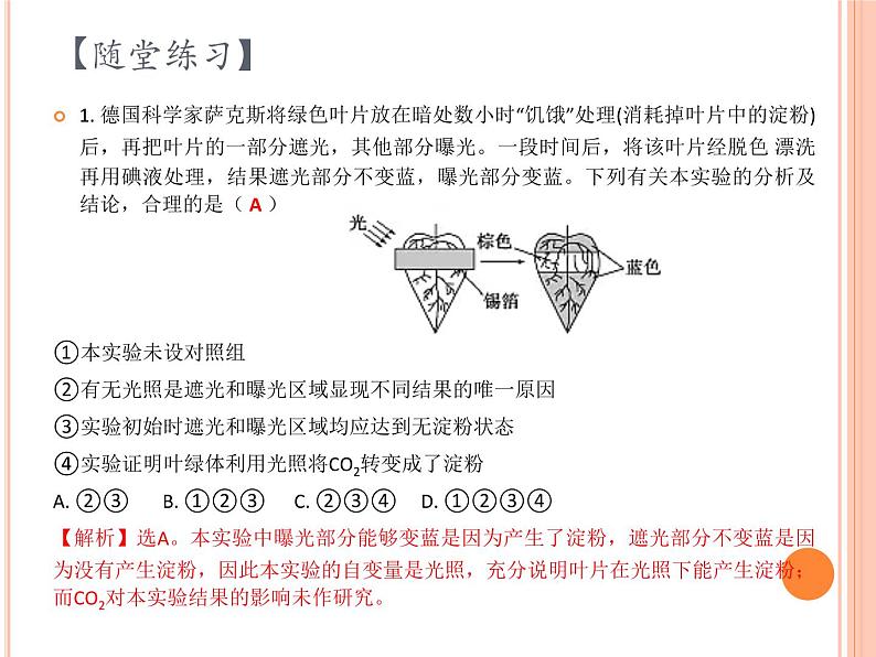 【2019人教版】必修1第5章第4节第2课时 光合作用与能量转化（2） 课件PPT07