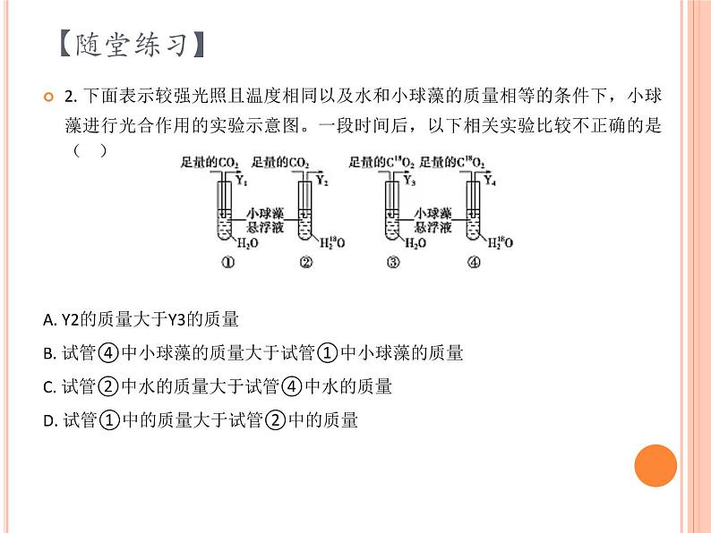 【2019人教版】必修1第5章第4节第2课时 光合作用与能量转化（2） 课件PPT08