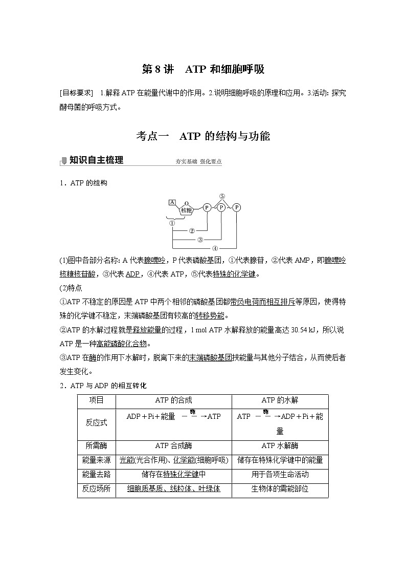 8 2022年高考生物一轮复习（新高考版2(鲁辽)适用） 第3单元 第8讲 ATP和细胞呼吸 教案01