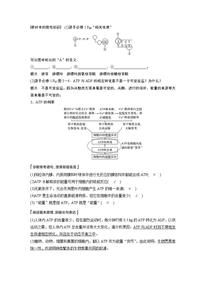 8 2022年高考生物一轮复习（新高考版2(鲁辽)适用） 第3单元 第8讲 ATP和细胞呼吸 教案02