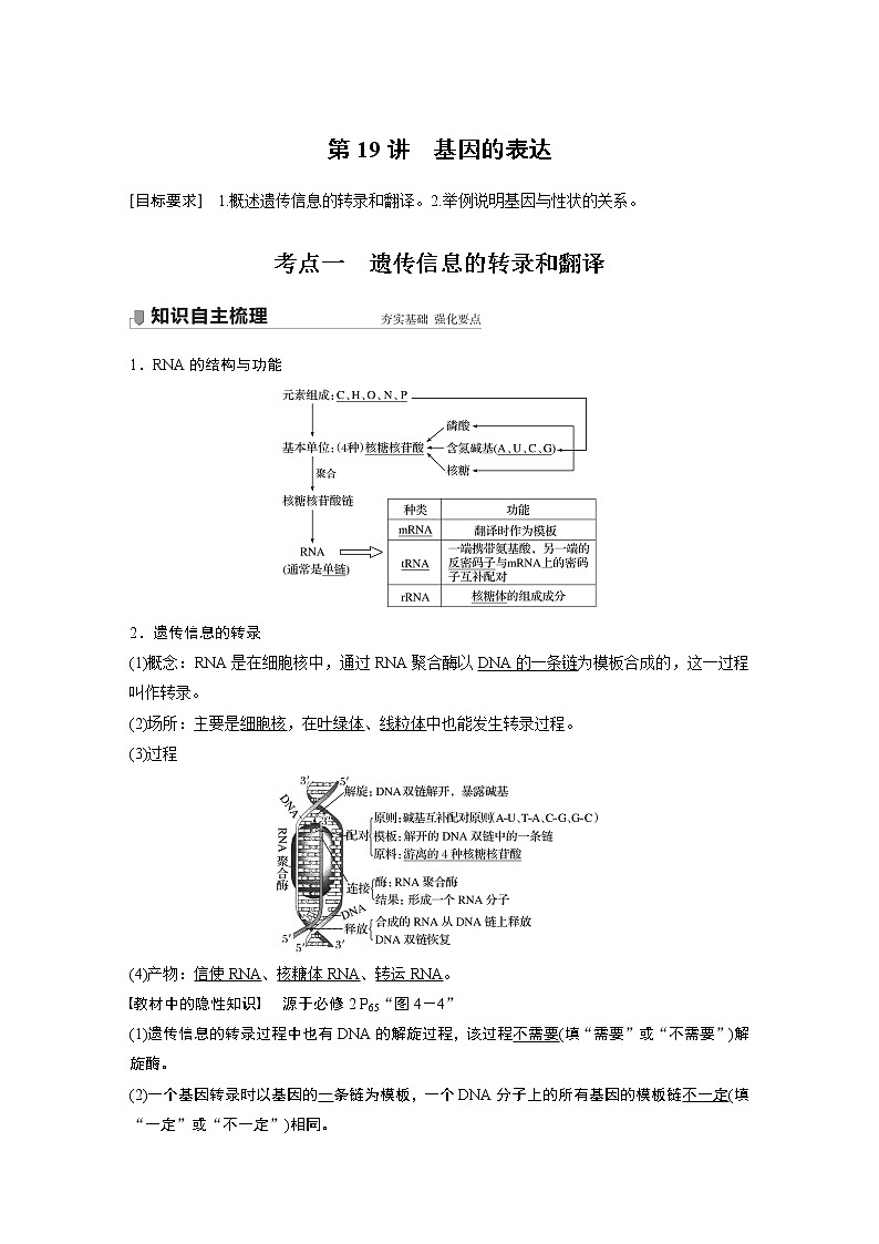 19 2022年高考生物一轮复习（新高考版2(鲁辽)适用） 第6单元 第19讲 基因的表达第1页