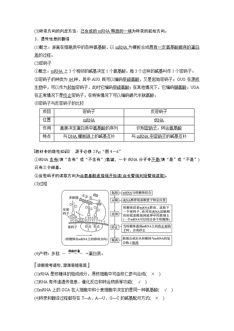 19 2022年高考生物一轮复习（新高考版2(鲁辽)适用） 第6单元 第19讲 基因的表达第2页
