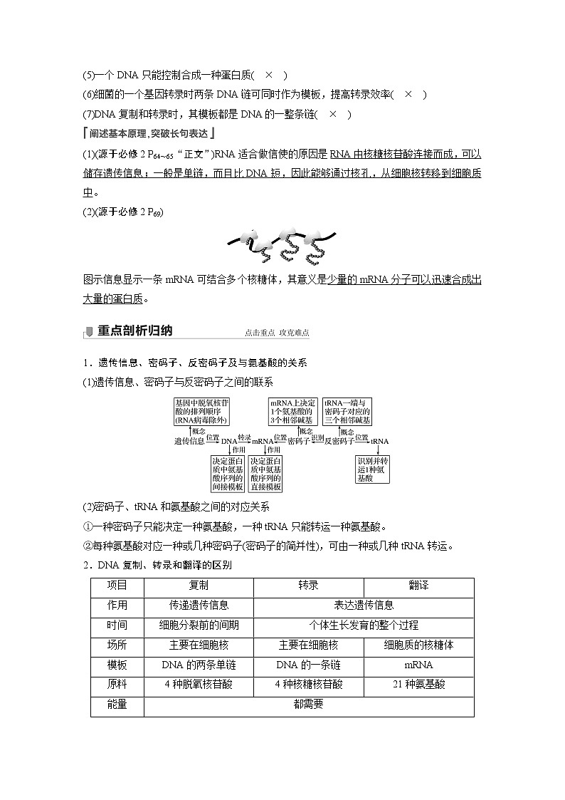 19 2022年高考生物一轮复习（新高考版2(鲁辽)适用） 第6单元 第19讲 基因的表达第3页