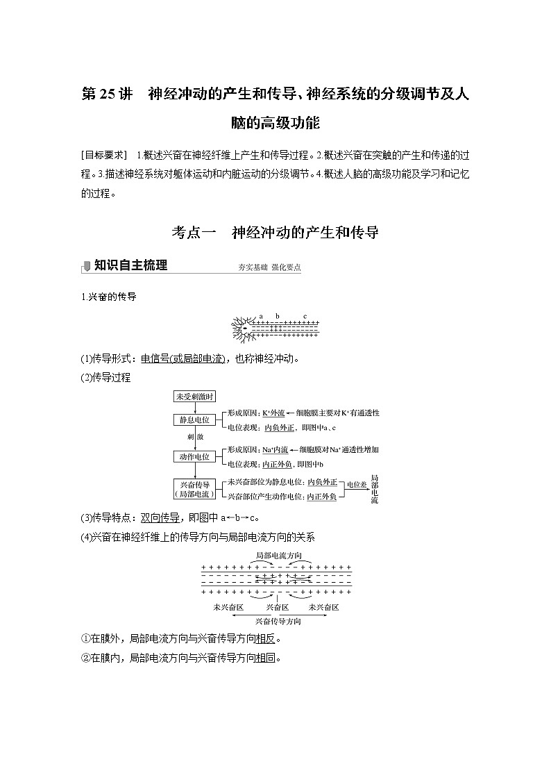 25 2022年高考生物一轮复习（新高考版2(鲁辽)适用） 第8单元 第25讲 神经冲动的产生和传导、神经系统的分级调节及人脑的高级功能第1页