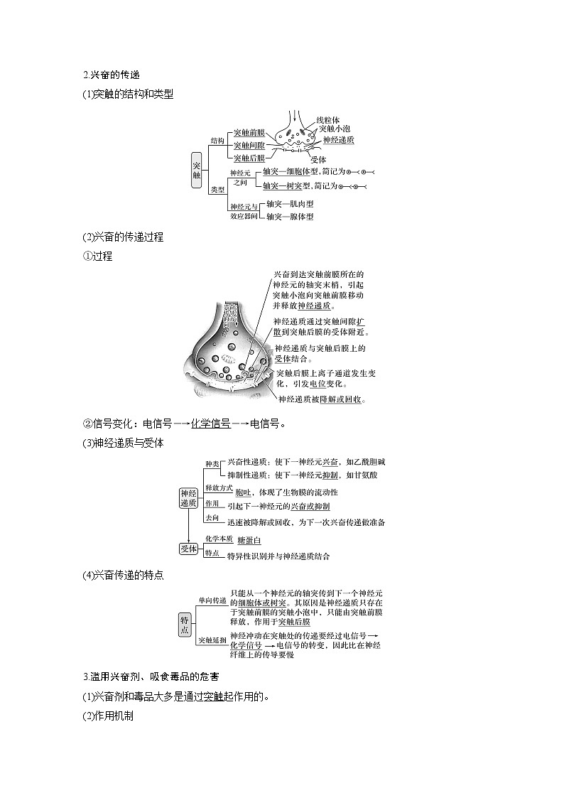 25 2022年高考生物一轮复习（新高考版2(鲁辽)适用） 第8单元 第25讲 神经冲动的产生和传导、神经系统的分级调节及人脑的高级功能第2页