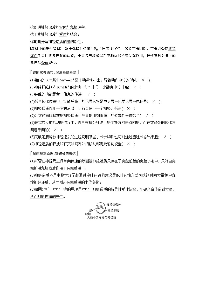 25 2022年高考生物一轮复习（新高考版2(鲁辽)适用） 第8单元 第25讲 神经冲动的产生和传导、神经系统的分级调节及人脑的高级功能第3页