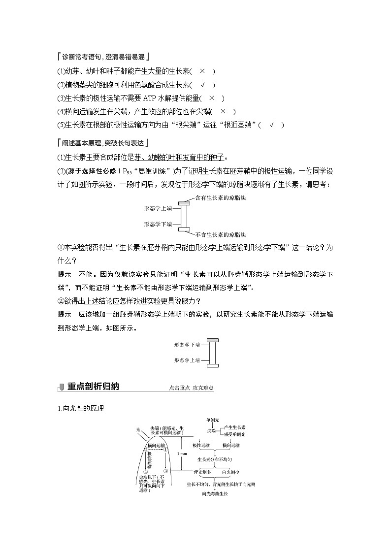 29 2022年高考生物一轮复习（新高考版2(鲁辽)适用） 第8单元 第29讲 植物生命活动的调节第3页