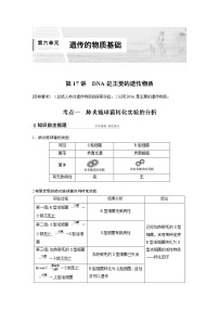 17 2022年高考生物一轮复习（新高考版2(鲁辽)适用） 第6单元 第17讲 DNA是主要的遗传物质