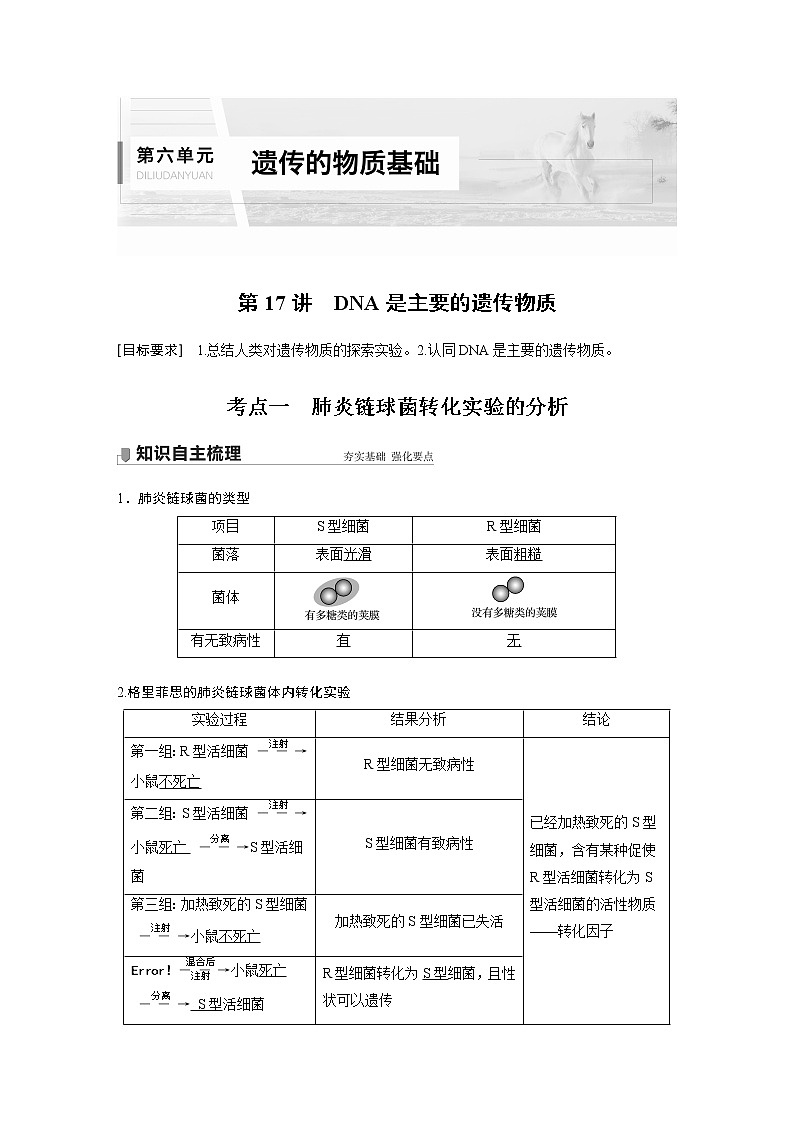 17 2022年高考生物一轮复习（新高考版2(鲁辽)适用） 第6单元 第17讲 DNA是主要的遗传物质 教案01
