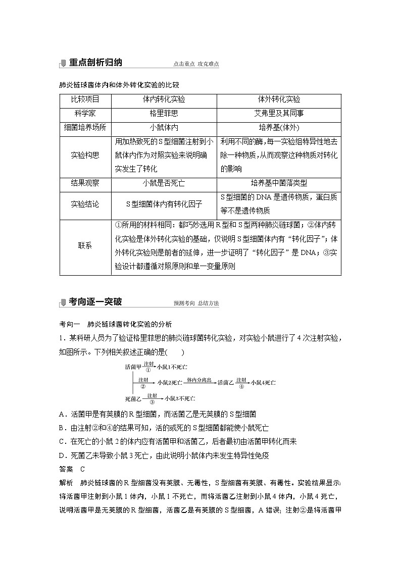 17 2022年高考生物一轮复习（新高考版2(鲁辽)适用） 第6单元 第17讲 DNA是主要的遗传物质 教案03