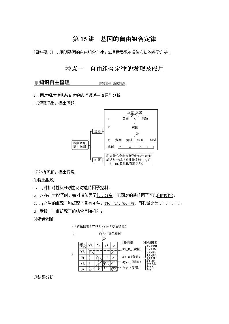 15 2022年高考生物一轮复习（新高考版2(鲁辽)适用） 第5单元 第15讲 基因的自由组合定律 教案01