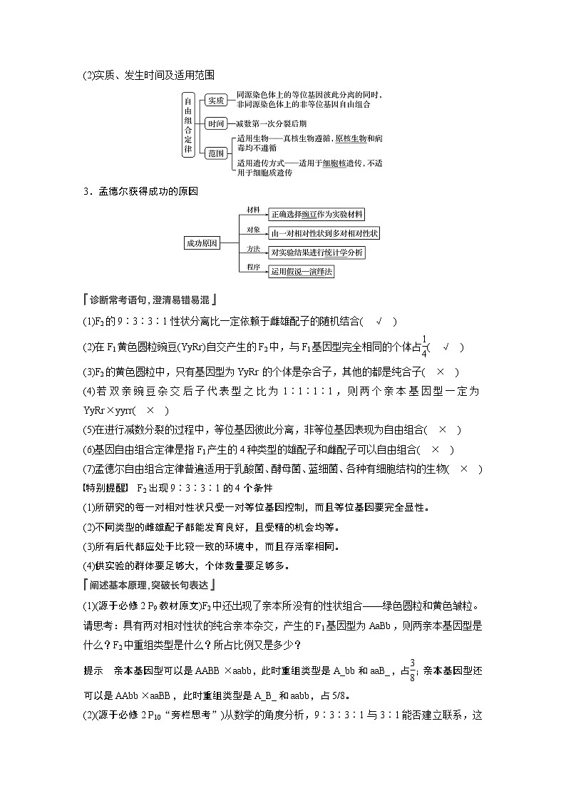15 2022年高考生物一轮复习（新高考版2(鲁辽)适用） 第5单元 第15讲 基因的自由组合定律 教案03