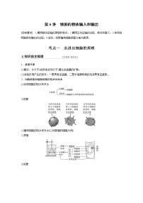 6 2022年高考生物一轮复习（新高考版2(鲁辽)适用） 第2单元 第6讲 细胞的物质输入和输出