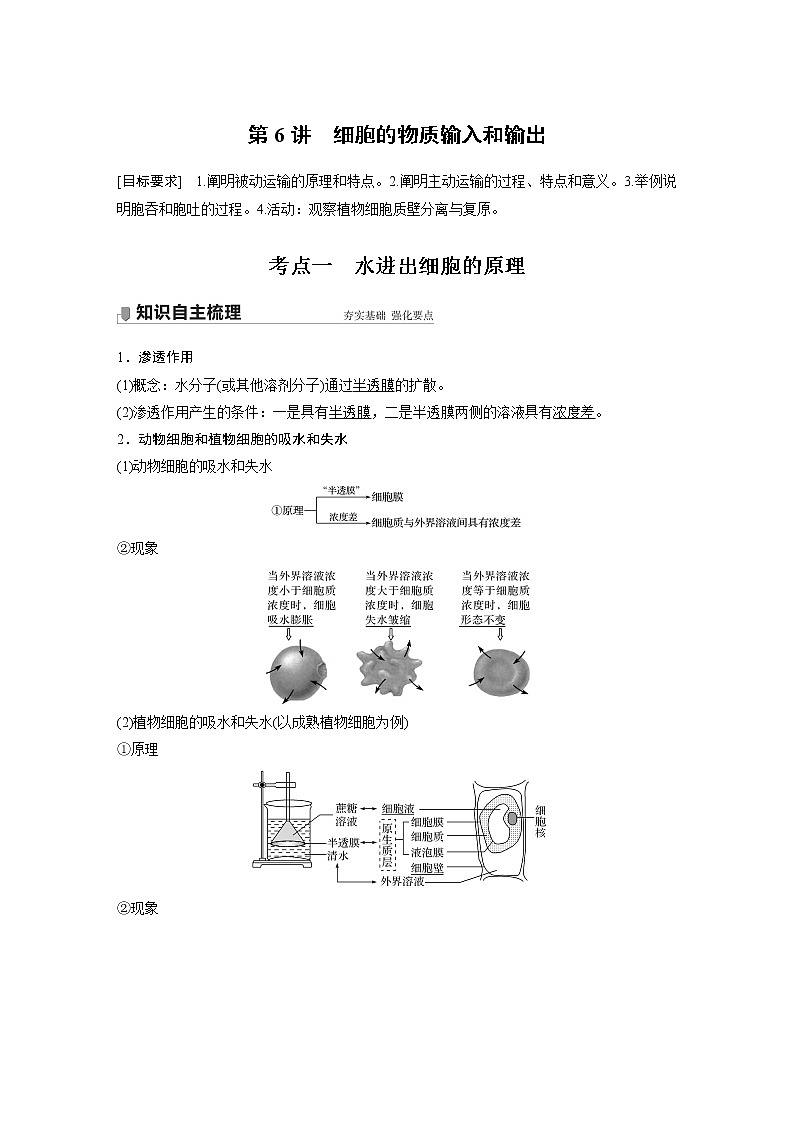 6 2022年高考生物一轮复习（新高考版2(鲁辽)适用） 第2单元 第6讲 细胞的物质输入和输出第1页