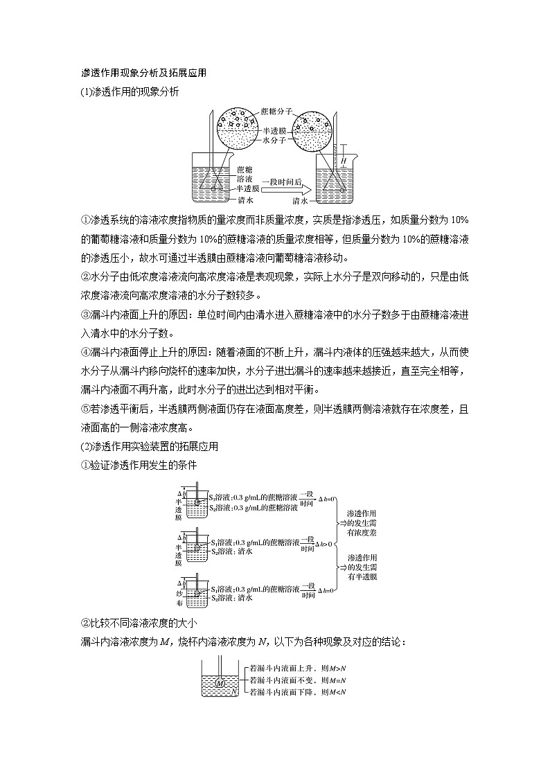 6 2022年高考生物一轮复习（新高考版2(鲁辽)适用） 第2单元 第6讲 细胞的物质输入和输出第3页