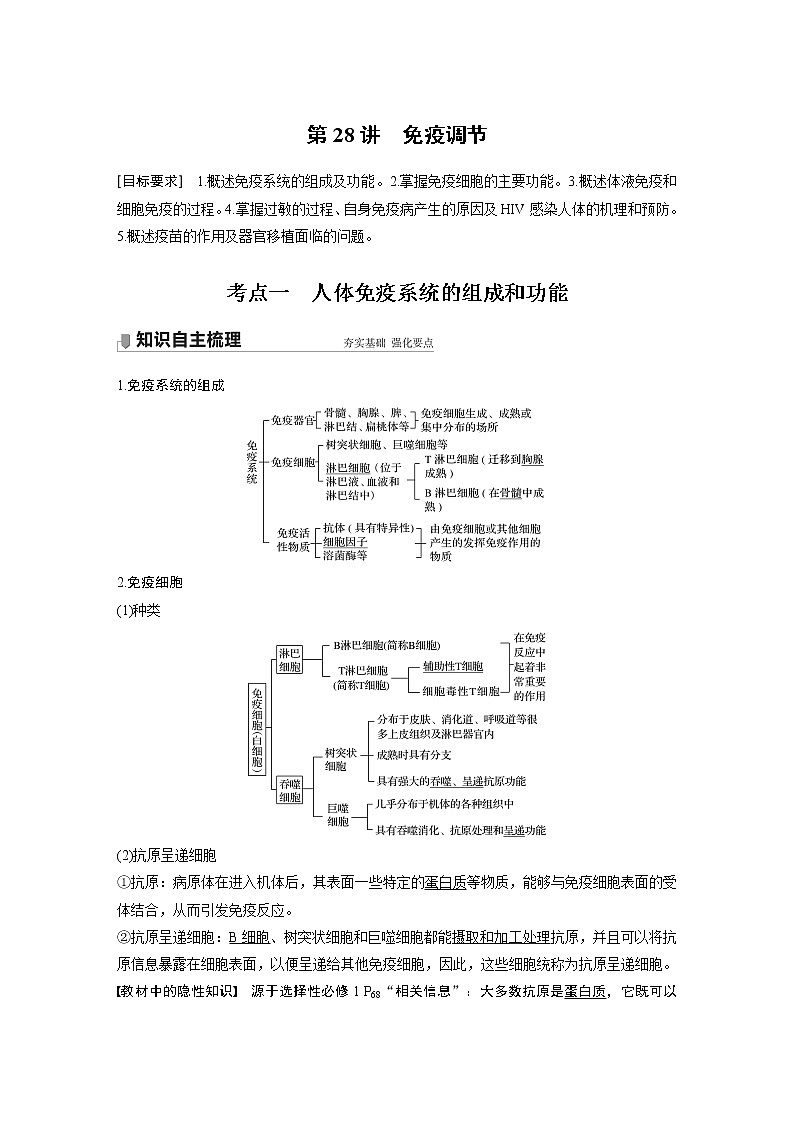 28 2022年高考生物一轮复习（新高考版2(鲁辽)适用） 第8单元 第28讲 免疫调节第1页