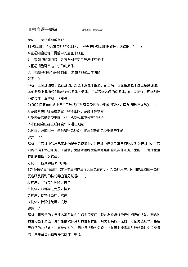 28 2022年高考生物一轮复习（新高考版2(鲁辽)适用） 第8单元 第28讲 免疫调节第3页