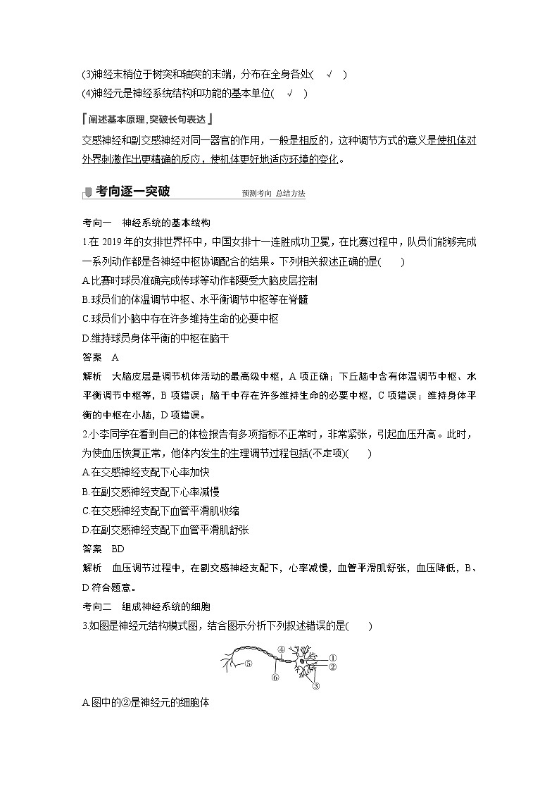 24 2022年高考生物一轮复习（新高考版2(鲁辽)适用） 第8单元 第24讲 神经调节的结构基础及基本方式 教案03