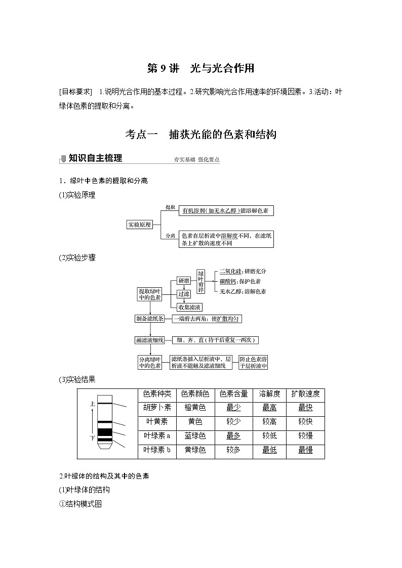 9 2022年高考生物一轮复习（新高考版2(鲁辽)适用） 第3单元 第9讲 光与光合作用第1页