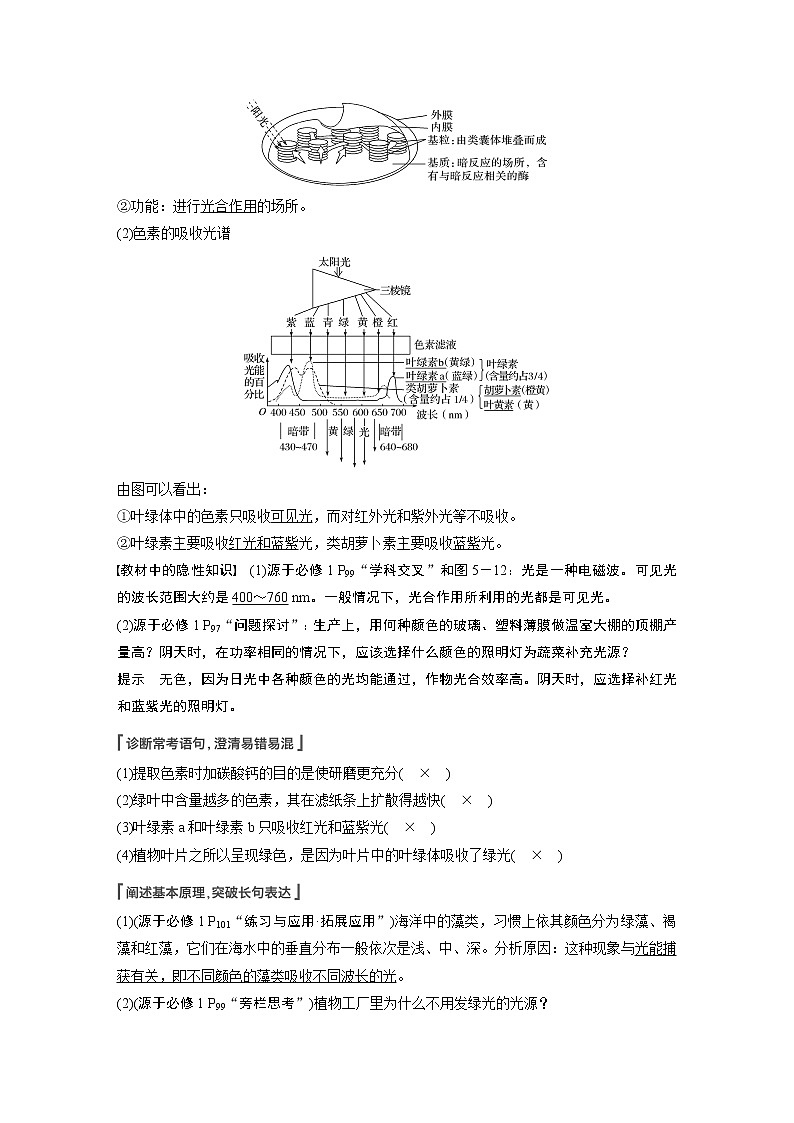 9 2022年高考生物一轮复习（新高考版2(鲁辽)适用） 第3单元 第9讲 光与光合作用第2页