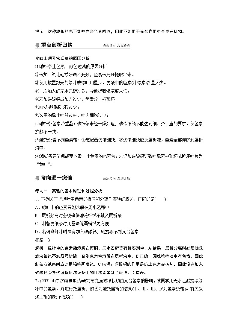 9 2022年高考生物一轮复习（新高考版2(鲁辽)适用） 第3单元 第9讲 光与光合作用第3页