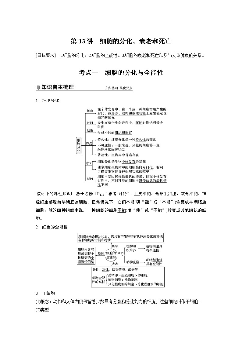 13 2022年高考生物一轮复习（新高考版2(鲁辽)适用） 第4单元 第13讲 细胞的分化、衰老和死亡 教案01