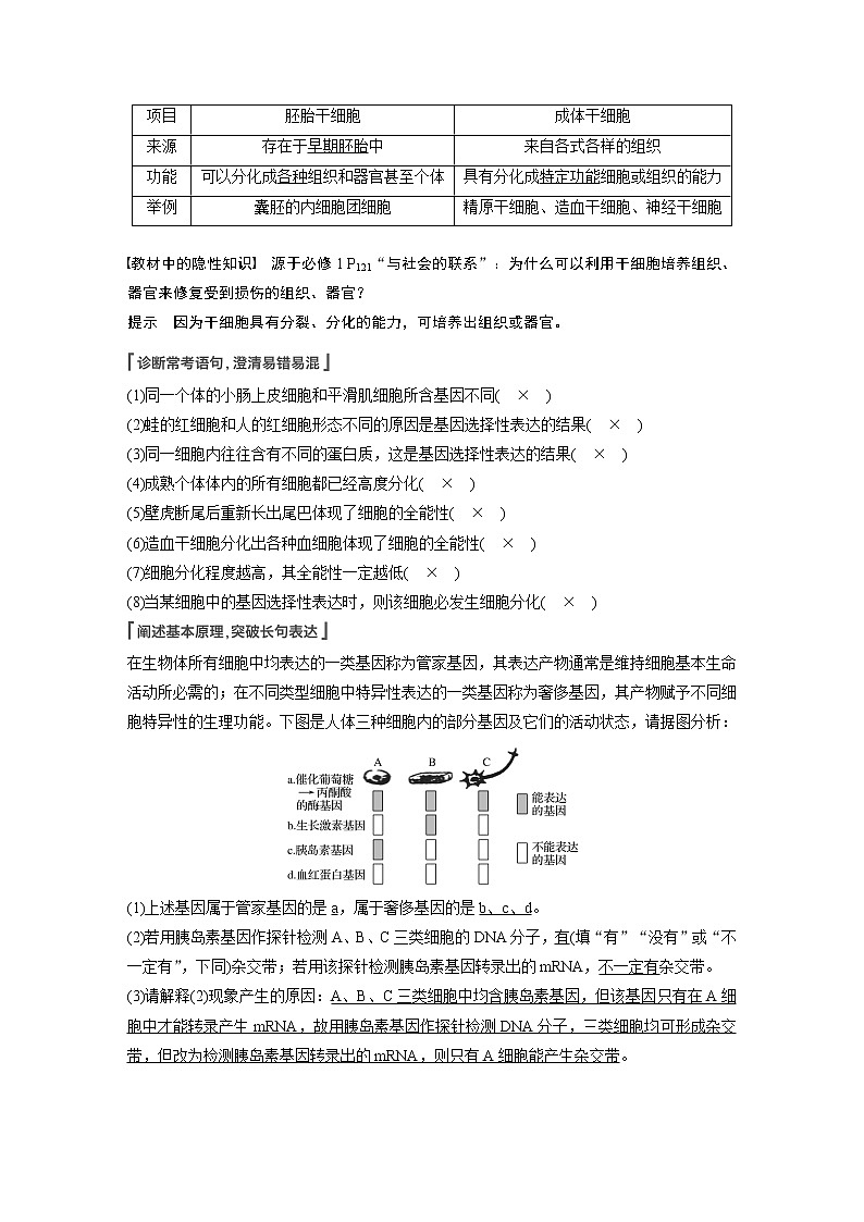 13 2022年高考生物一轮复习（新高考版2(鲁辽)适用） 第4单元 第13讲 细胞的分化、衰老和死亡 教案02