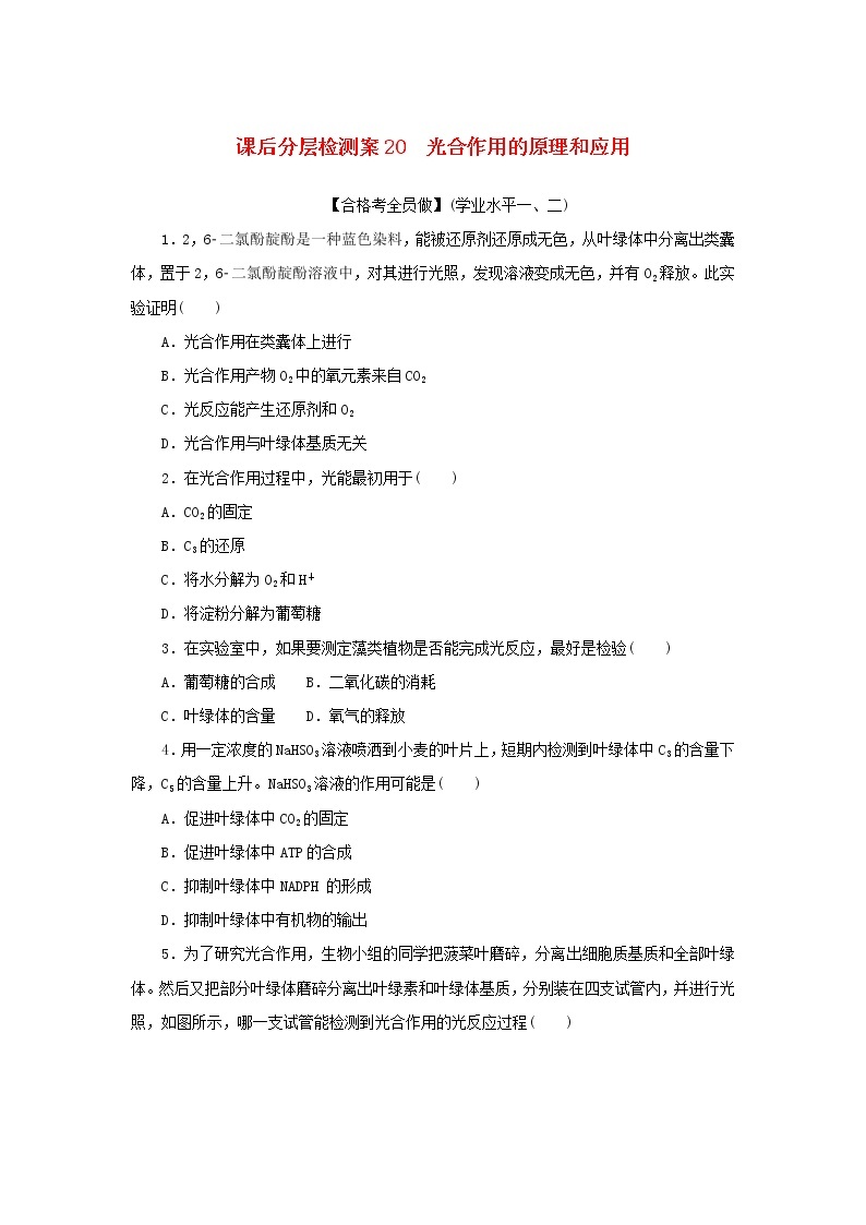 2022_2023学年新教材高中生物课后分层检测案20光合作用的原理和应用新人教版必修101