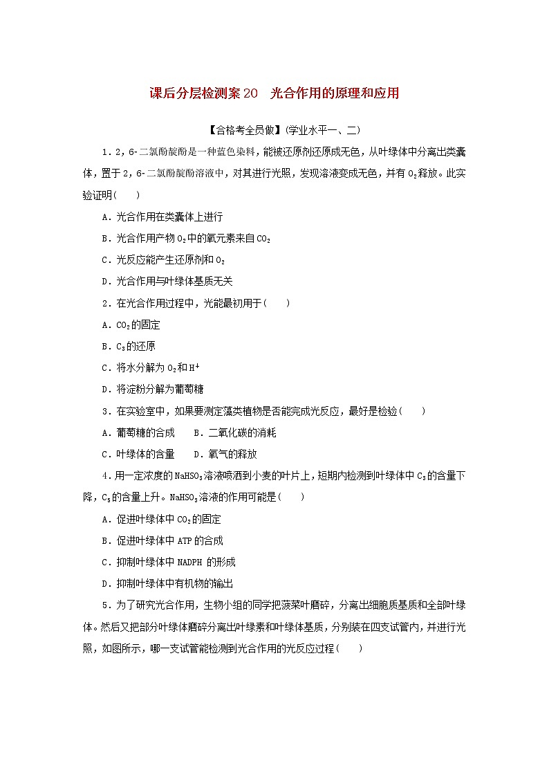 2022_2023学年新教材高中生物课后分层检测案20光合作用的原理和应用新人教版必修101