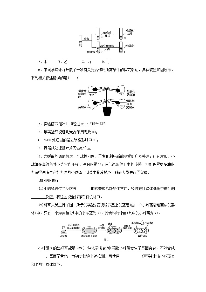 2022_2023学年新教材高中生物课后分层检测案20光合作用的原理和应用新人教版必修102