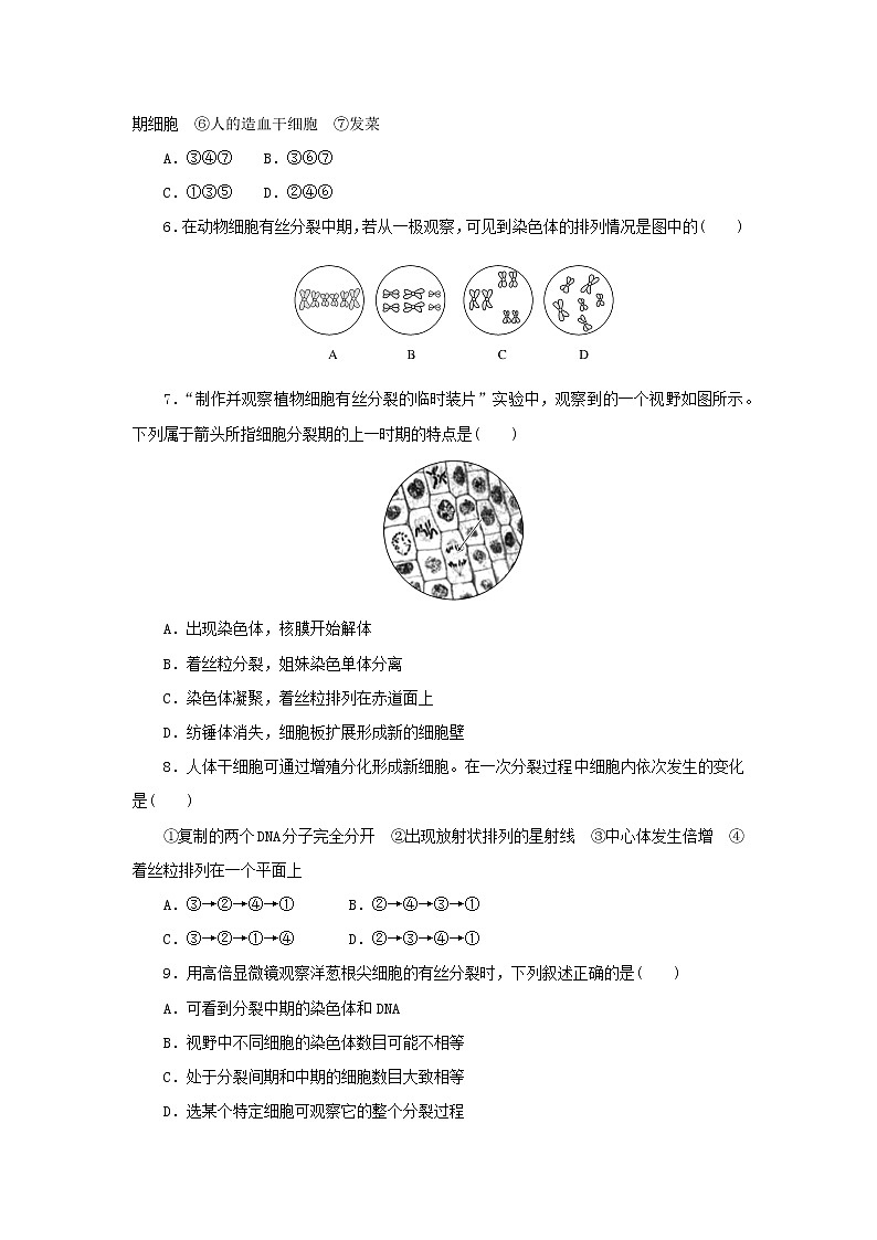 2022_2023学年新教材高中生物课后分层检测案22动植物细胞有丝分裂的区别和观察有丝分裂实验新人教版必修102