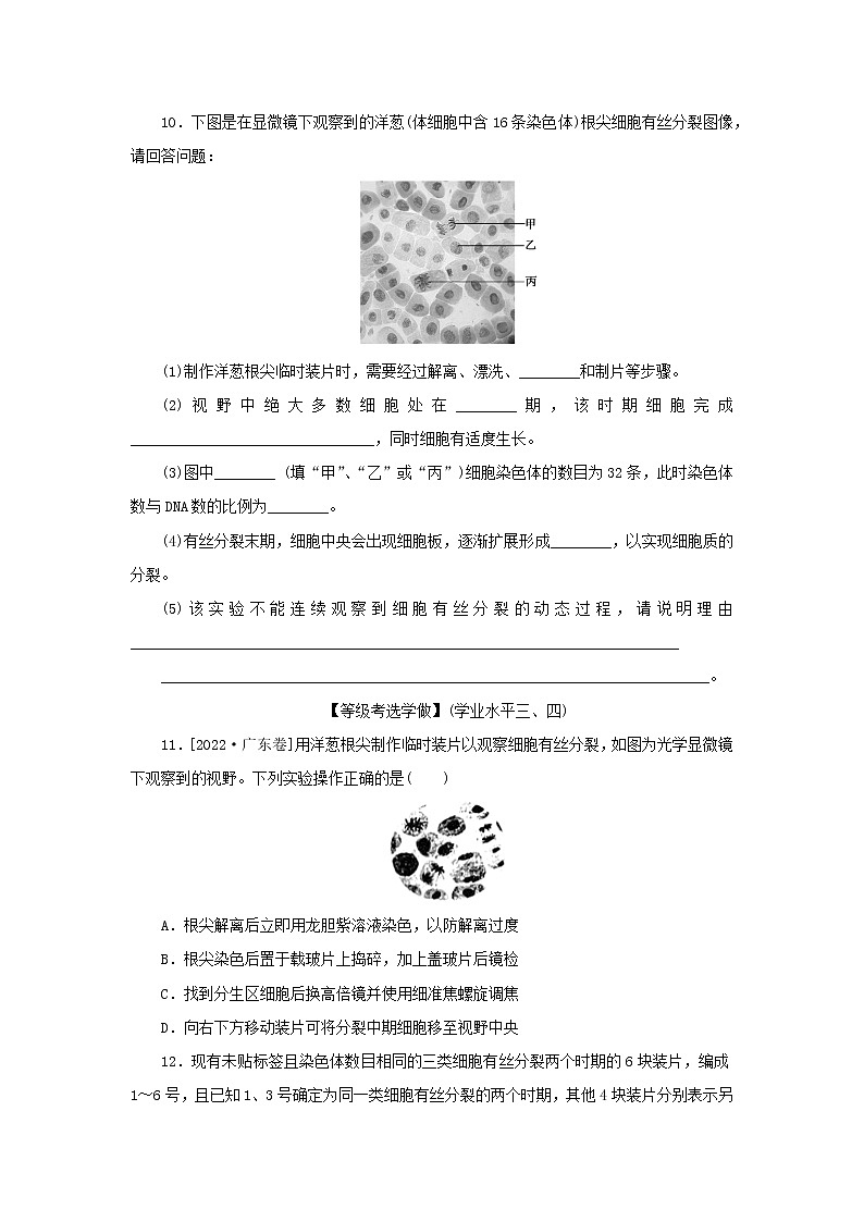 2022_2023学年新教材高中生物课后分层检测案22动植物细胞有丝分裂的区别和观察有丝分裂实验新人教版必修103
