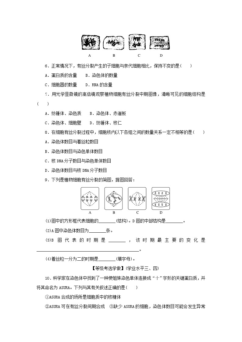 2022_2023学年新教材高中生物课后分层检测案21细胞增殖与细胞周期及高等植物细胞的有丝分裂新人教版必修102