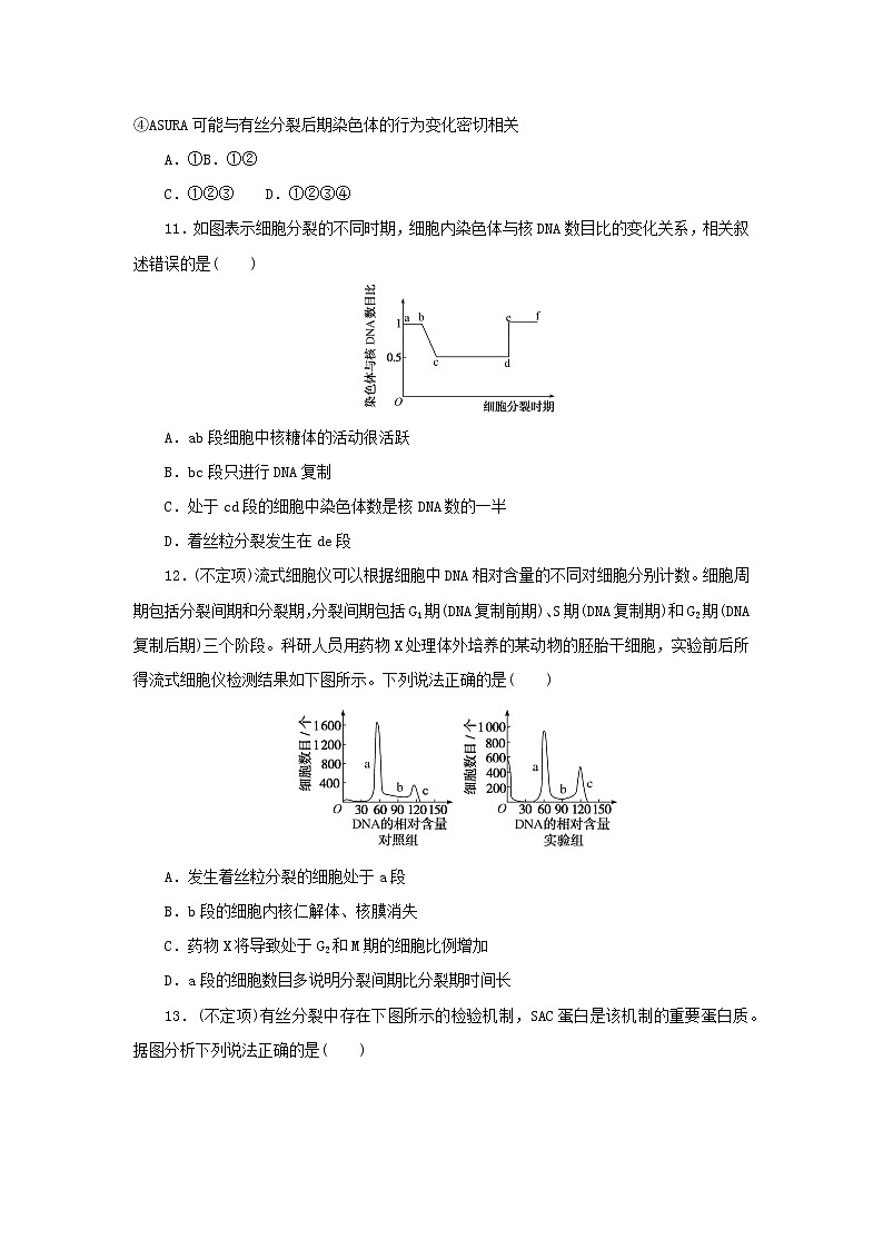 2022_2023学年新教材高中生物课后分层检测案21细胞增殖与细胞周期及高等植物细胞的有丝分裂新人教版必修103