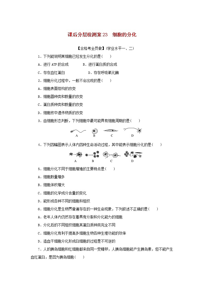 2022_2023学年新教材高中生物课后分层检测案23细胞的分化新人教版必修101