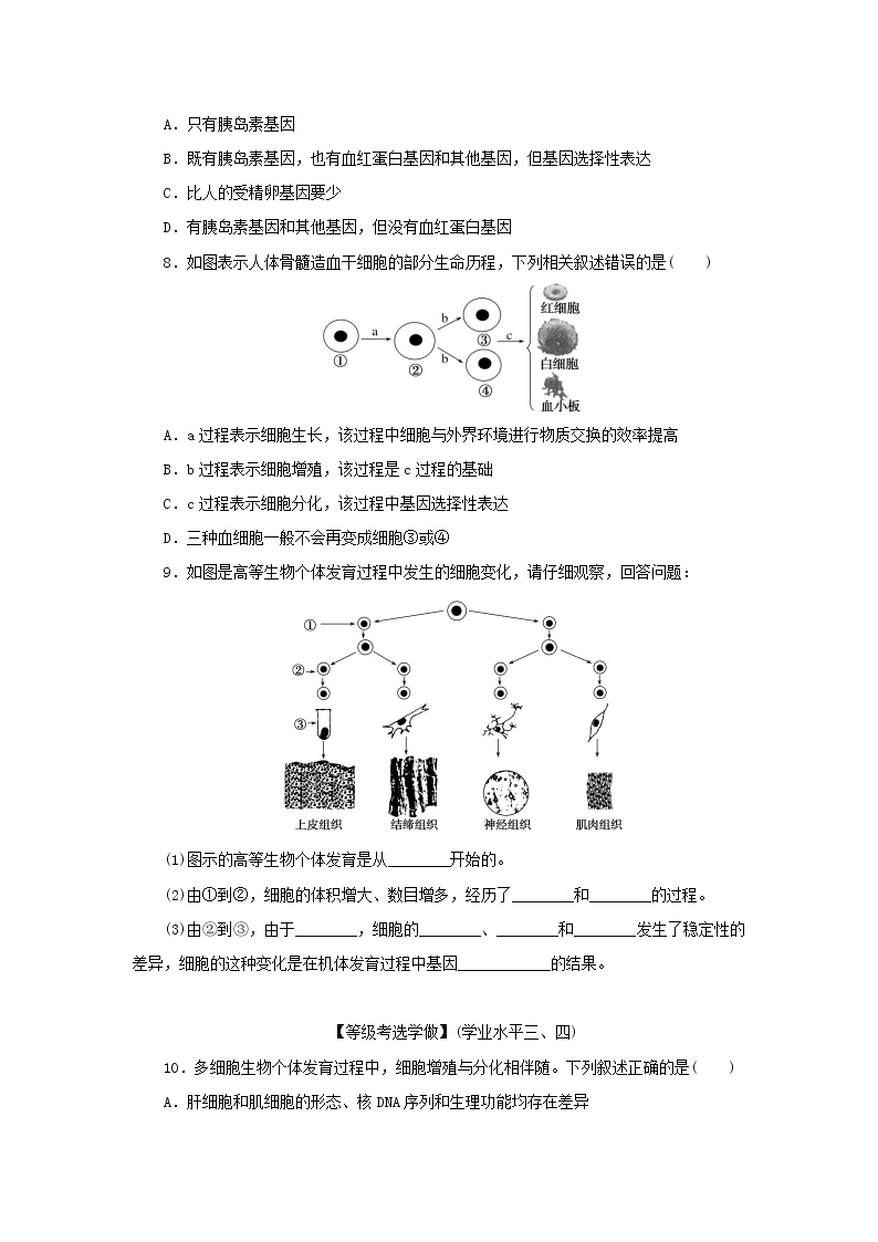 2022_2023学年新教材高中生物课后分层检测案23细胞的分化新人教版必修102