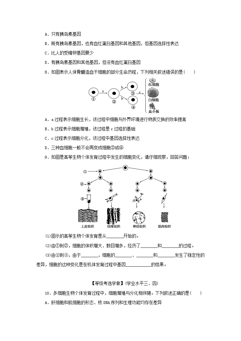 2022_2023学年新教材高中生物课后分层检测案23细胞的分化新人教版必修102