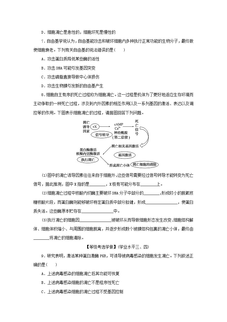 2022_2023学年新教材高中生物课后分层检测案24细胞的衰老和死亡新人教版必修102