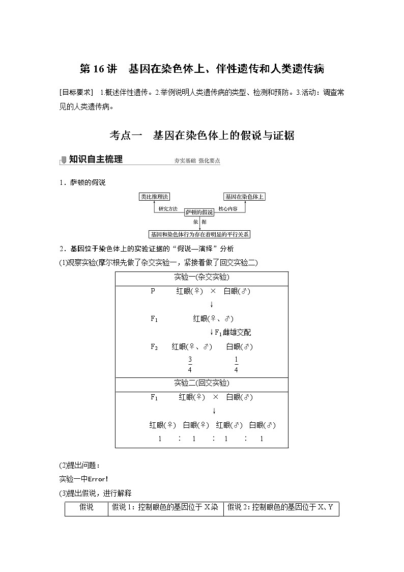 16 2022年高考生物一轮复习（新高考版2(鲁辽)适用） 第5单元 第16讲 基因在染色体上、伴性遗传和人类遗传病 教案01