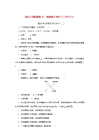 人教版 (2019)必修1《分子与细胞》第2节 细胞器之间的分工合作同步练习题