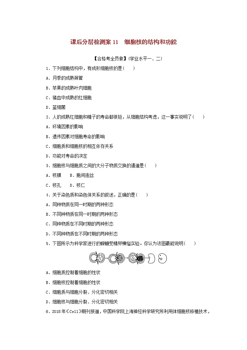 2022_2023学年新教材高中生物课后分层检测案11细胞核的结构和功能新人教版必修101