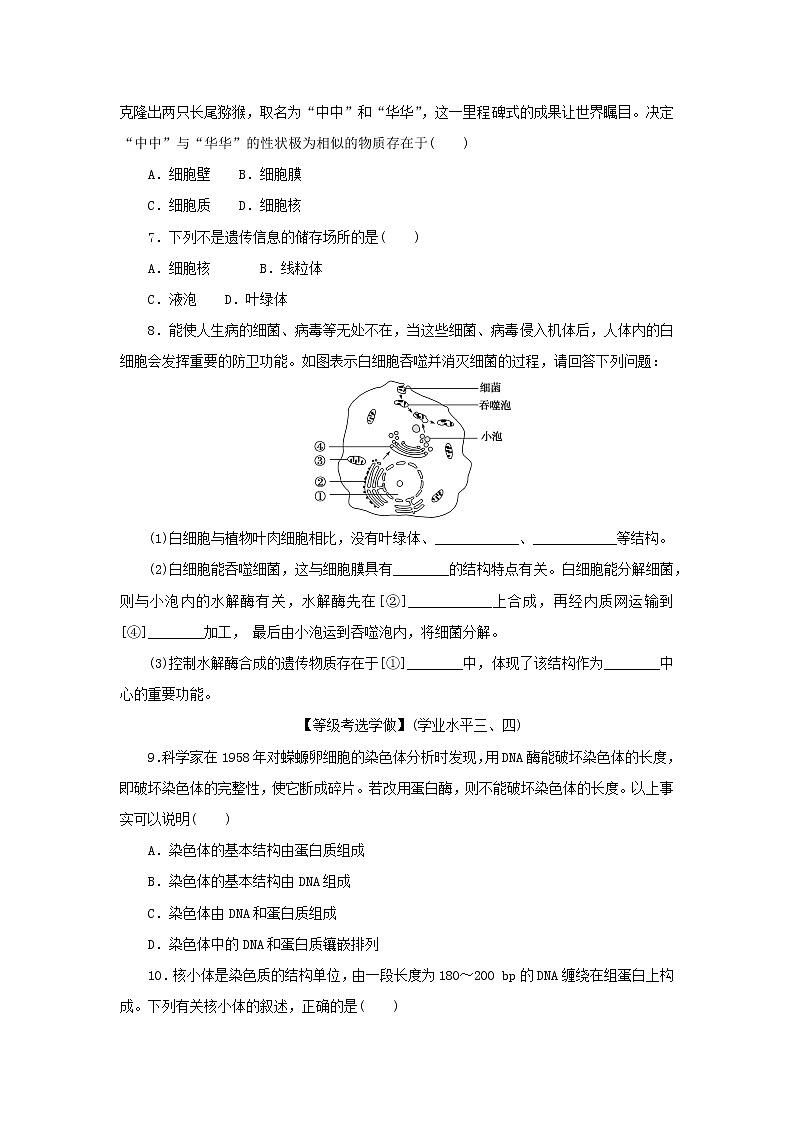2022_2023学年新教材高中生物课后分层检测案11细胞核的结构和功能新人教版必修102