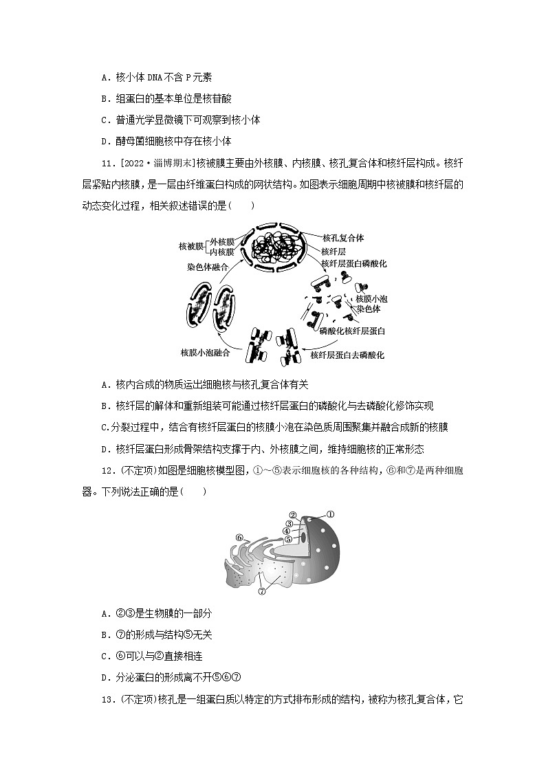 2022_2023学年新教材高中生物课后分层检测案11细胞核的结构和功能新人教版必修103