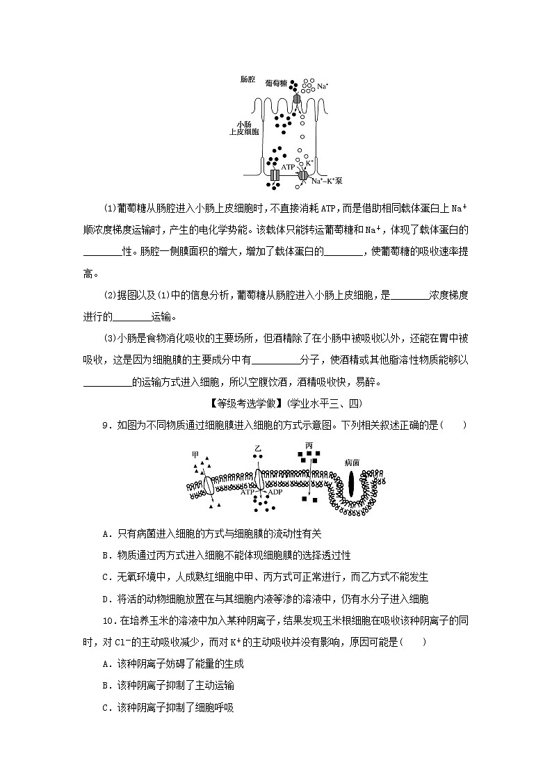 2022_2023学年新教材高中生物课后分层检测案13主动运输与胞吞胞吐新人教版必修103