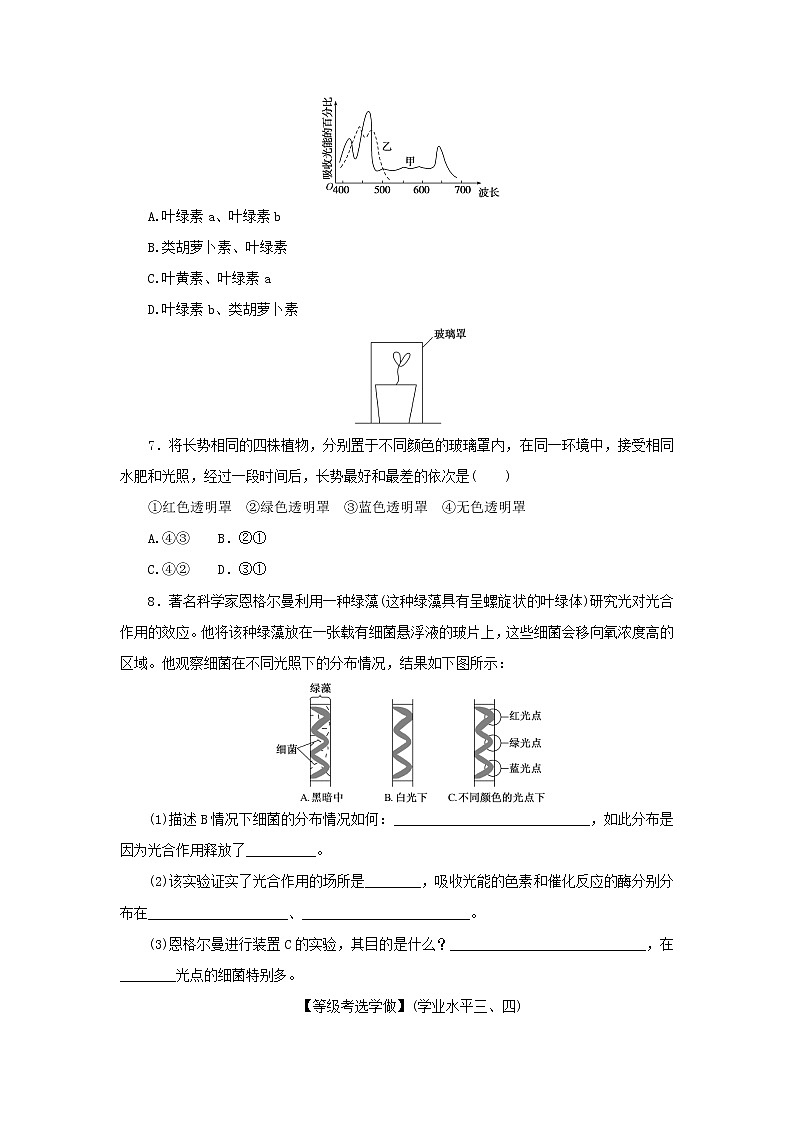2022_2023学年新教材高中生物课后分层检测案19捕获光能的色素和结构新人教版必修102