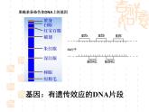 苏教版高中生物必修2第2章第三节《基因控制蛋白质的合成》微课教学课件