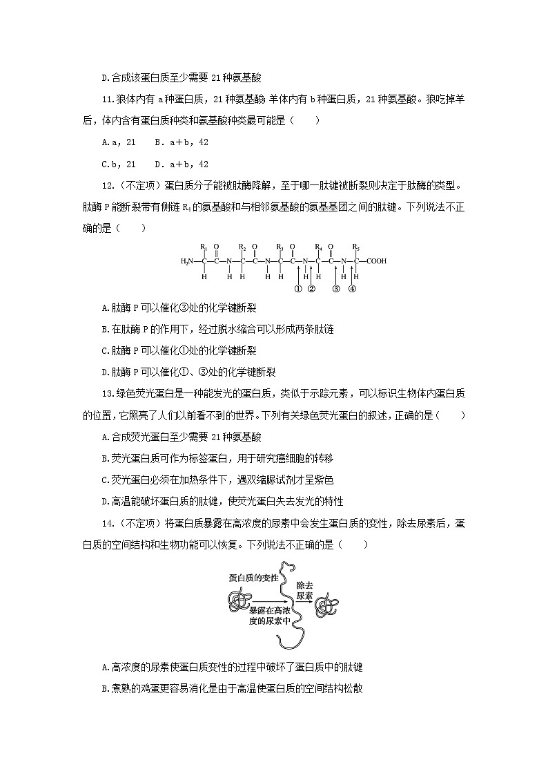 2022_2023学年新教材高中生物课后分层检测案6蛋白质是生命活动的主要承担者新人教版必修103