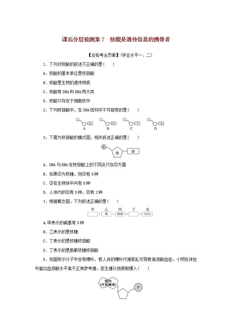 2022_2023学年新教材高中生物课后分层检测案7核酸是遗传信息的携带者新人教版必修101